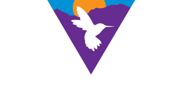 News from Violla – February/March 2025